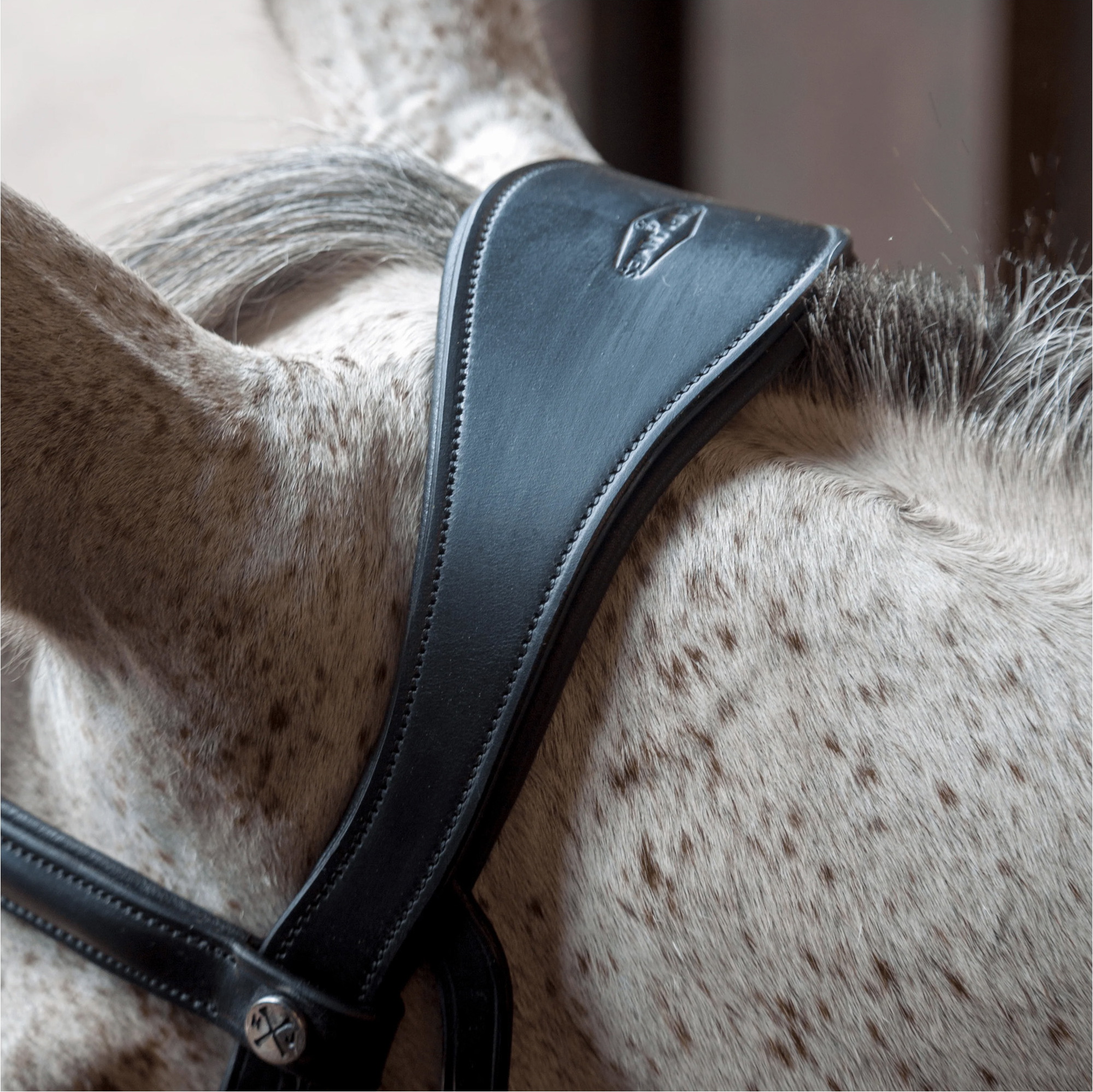 Henry James Saddlery Patent Dressur Trense Mit Weiß Polsterung HJ - BR - 07 - Black